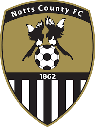 https://img.gzliya.com/img/football/team/9e230c89a846b9cadf91884918fa7611.png